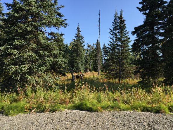 63787 Oil Well Rd, Ninilchik, AK 99639